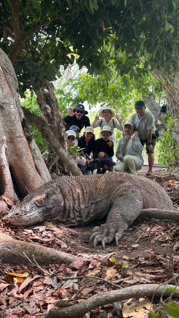 Tourists safely posing with a majestic Komodo dragon in its natural habitat